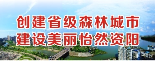 操逼鸡巴网址创建省级森林城市 建设美丽怡然资阳